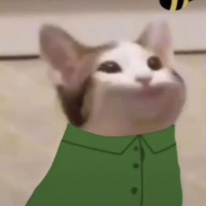 Meet your Posher, Karim